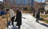 활동사진