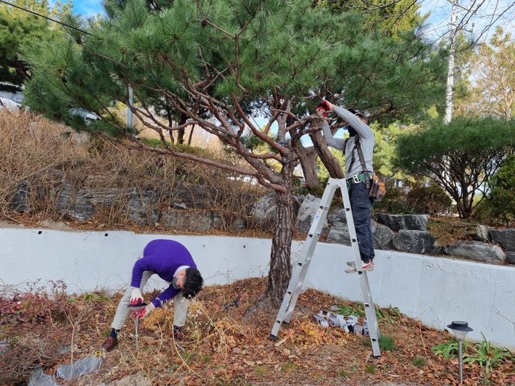 야외 조명등 설치