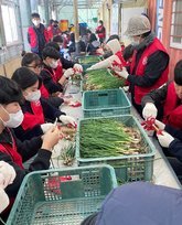 농촌일손돕기