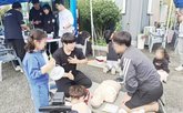 응급구조과 심폐소생교육
